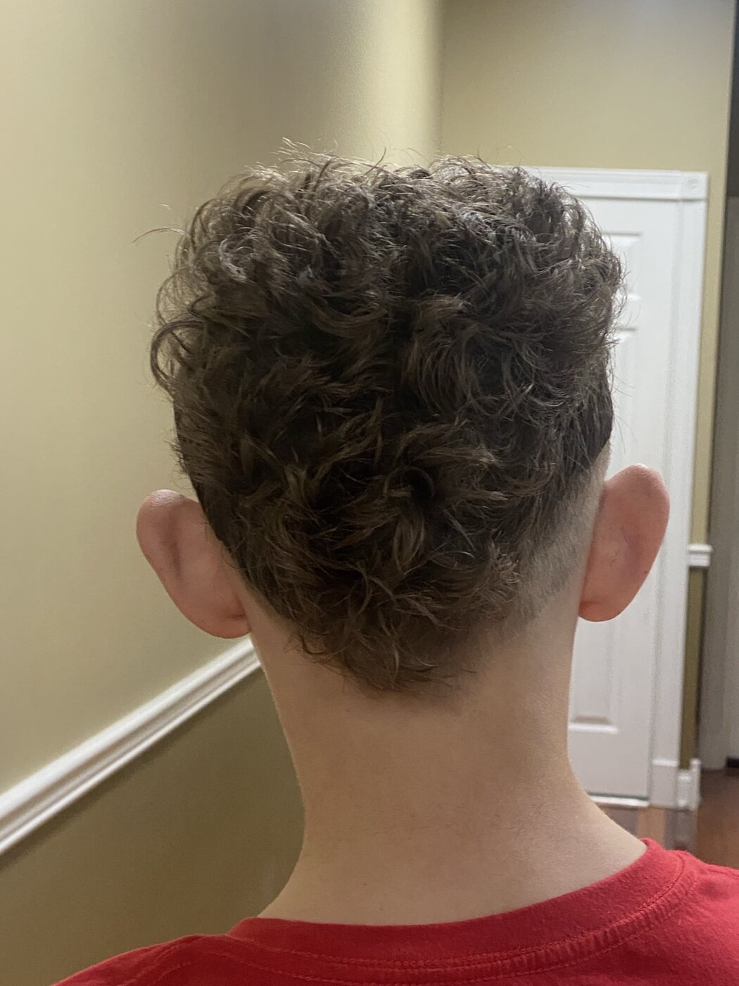 Curly fade haircut with a clean blended back