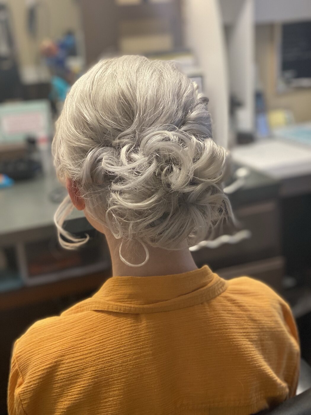 Detailed silver formal updo viewed from the back
